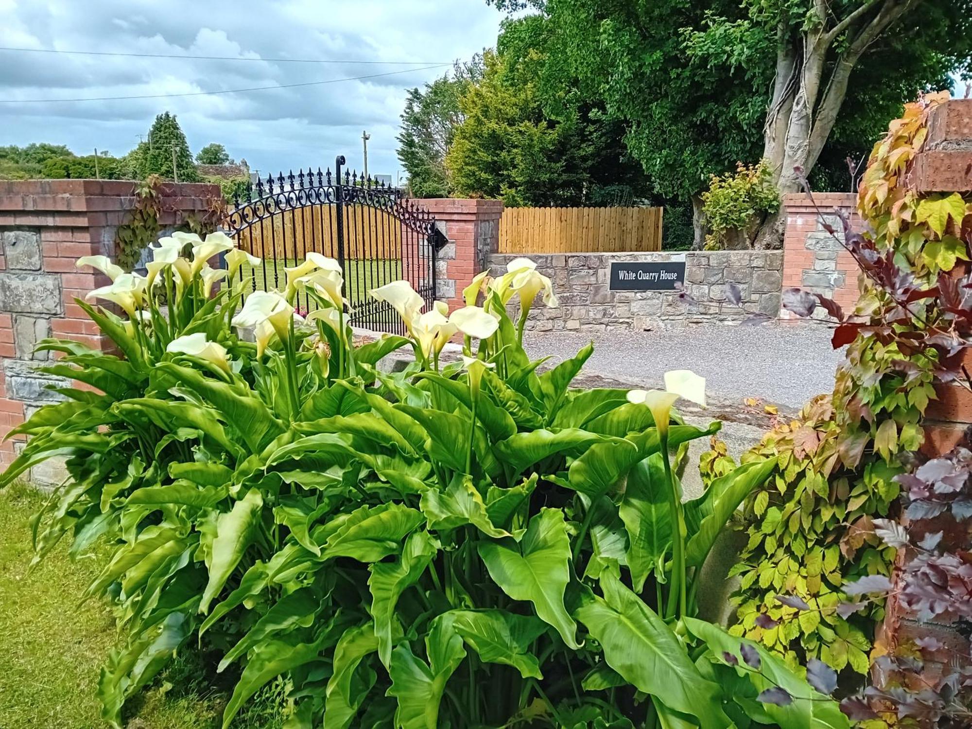 White Quarry Hse Quarry Road Guest House Наван Екстериор снимка